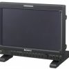 Datavideo TLM-170GR