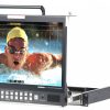 Datavideo TLM-170GM
